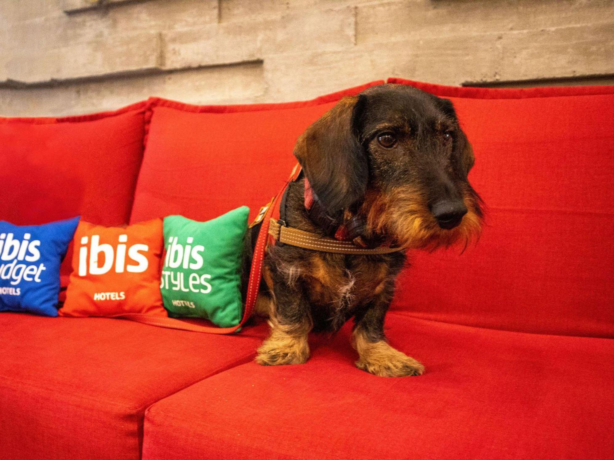 Ibis Mérida Kültér fotó